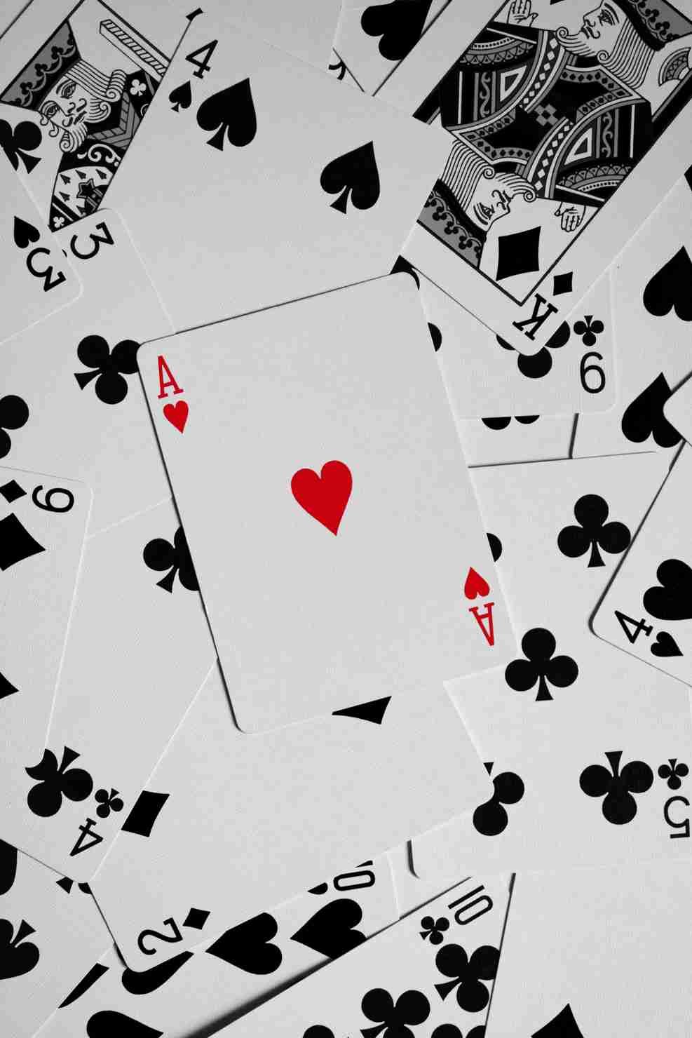 iwild casino app